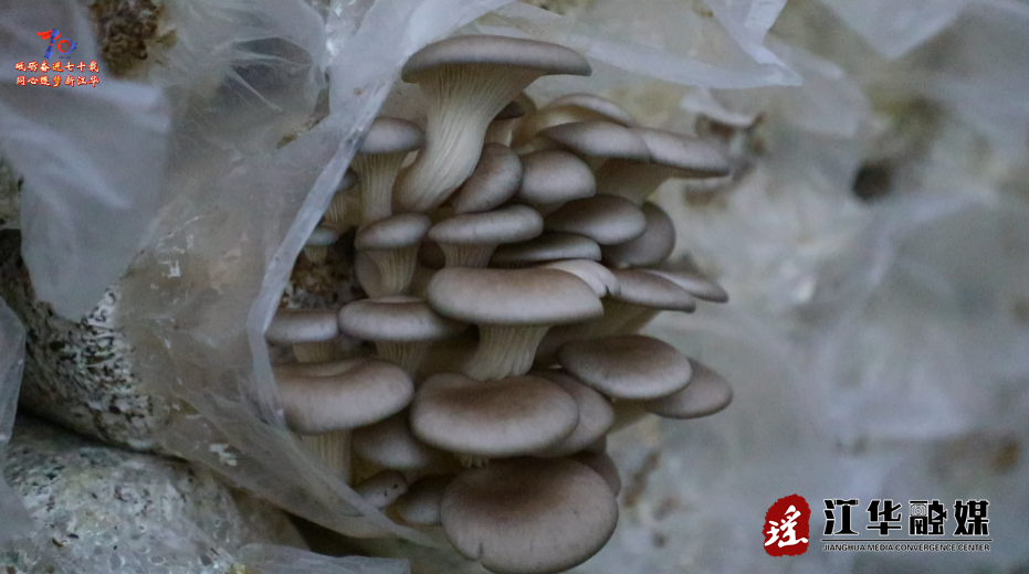 ScreenShot_2025-11-21_102257_674.png ScreenShot_2025-11-21_102257_674.png