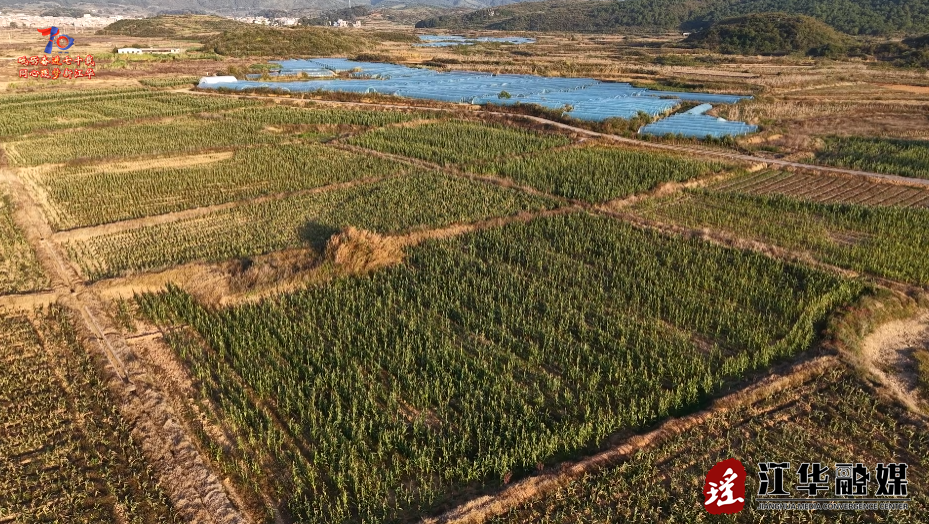 ScreenShot_2025-11-27_095422_029.png ScreenShot_2025-11-27_095422_029.png