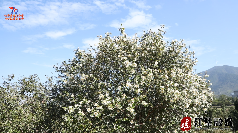 ScreenShot_2025-11-27_101521_759.png ScreenShot_2025-11-27_101521_759.png