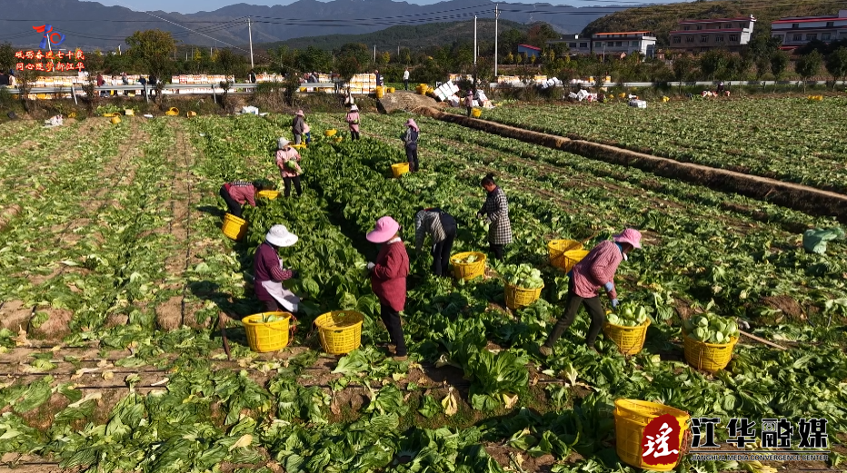 ScreenShot_2025-11-27_095345_431.png ScreenShot_2025-11-27_095345_431.png