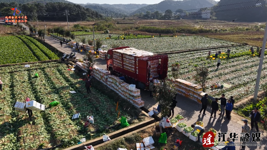 ScreenShot_2025-11-27_095449_557.png ScreenShot_2025-11-27_095449_557.png