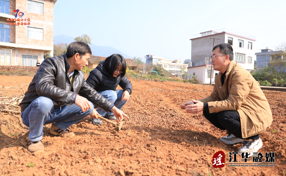 ScreenShot_2025-12-10_164212_222.png ScreenShot_2025-12-10_164212_222.png