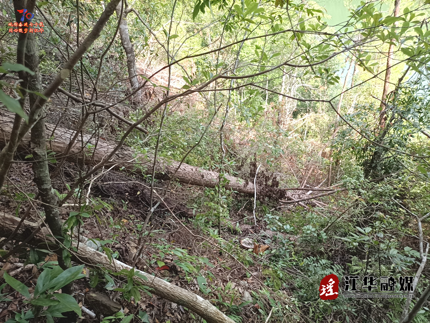 1039388144090ebfd997e7ef9991aef6.png 1039388144090ebfd997e7ef9991aef6.png