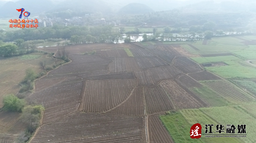 微信截图_20250311101338.png