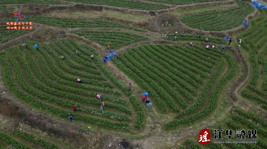 微信截图_20250312090842.png