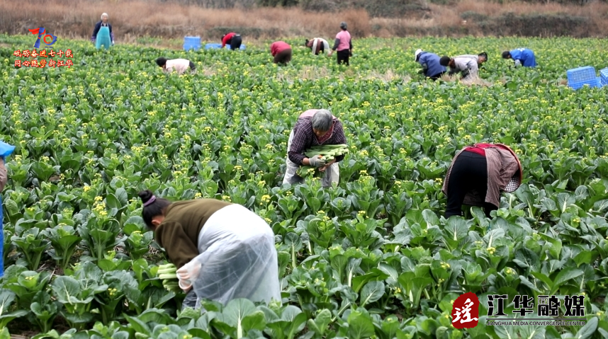 微信截图_20250312090922.png