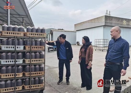 伍继承到大路铺调研食用菌产业提质增效情况