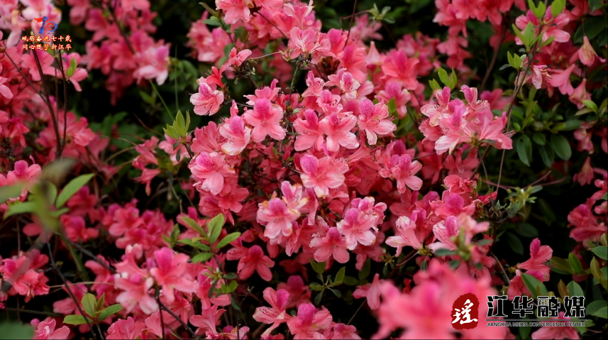 wechat_2025-04-09_092448_918.png