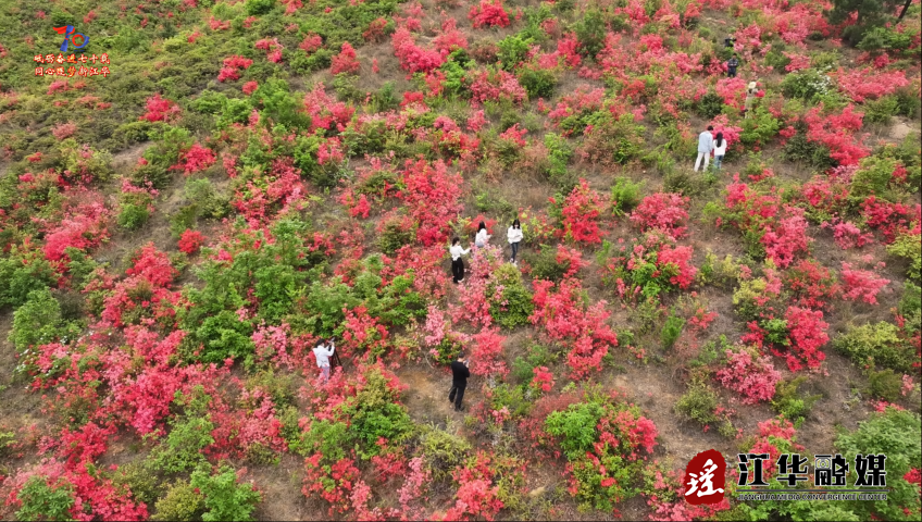 wechat_2025-04-09_092754_604.png