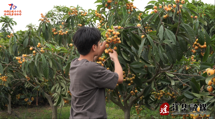 wechat_2025-05-12_094041_039.png