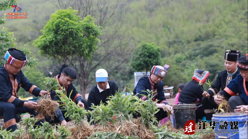 wechat_2025-05-29_123848_696.png