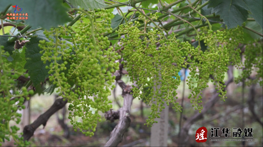 wechat_2025-05-08_094837_667.png