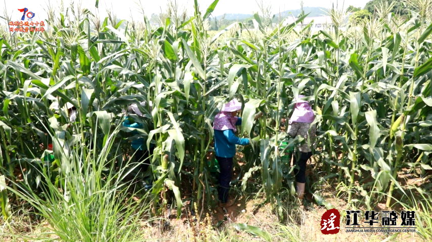 wechat_2025-06-16_092442_919.png