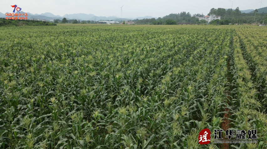 wechat_2025-06-16_092049_706.png