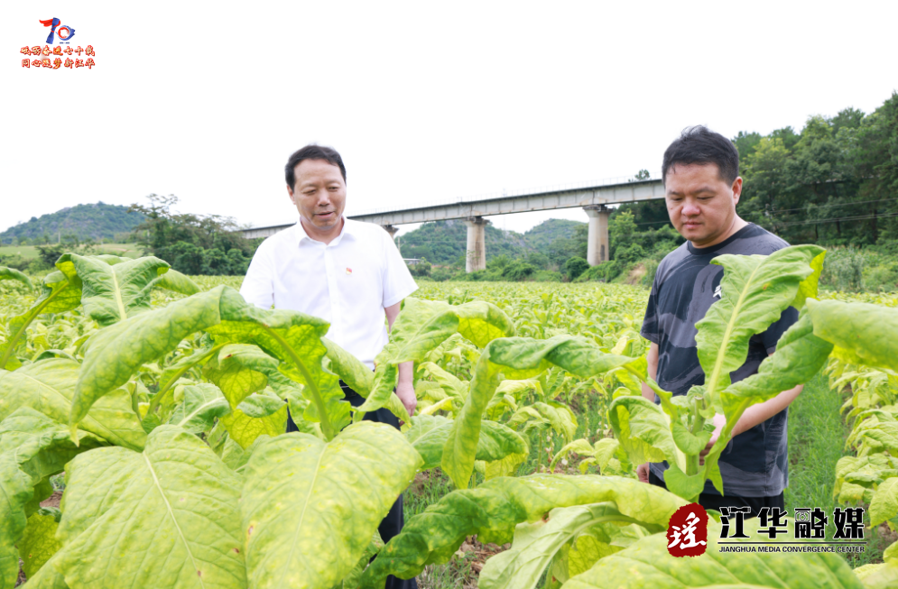 wechat_2025-06-30_105328_231.png