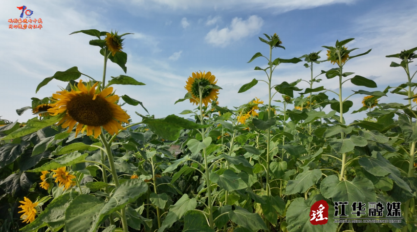 wechat_2025-06-04_155703_446.png