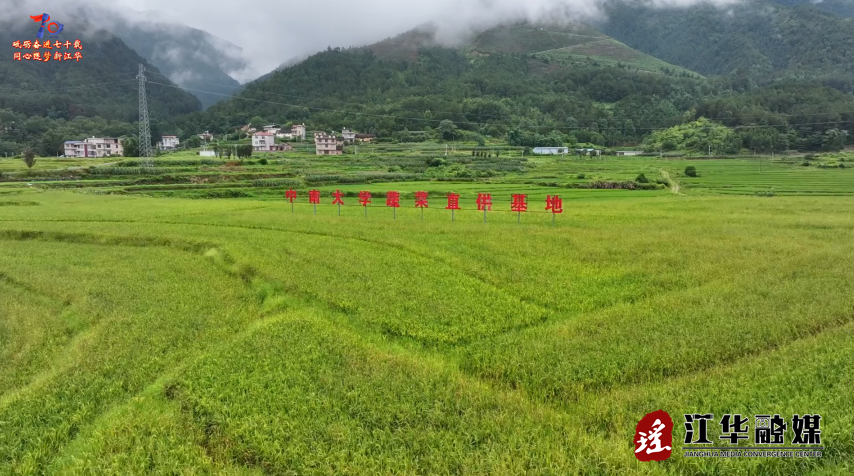 wechat_2025-07-01_090556_880.png