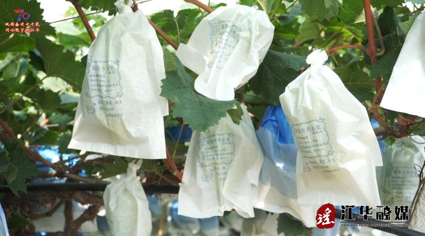 wechat_2025-07-10_091913_575.png