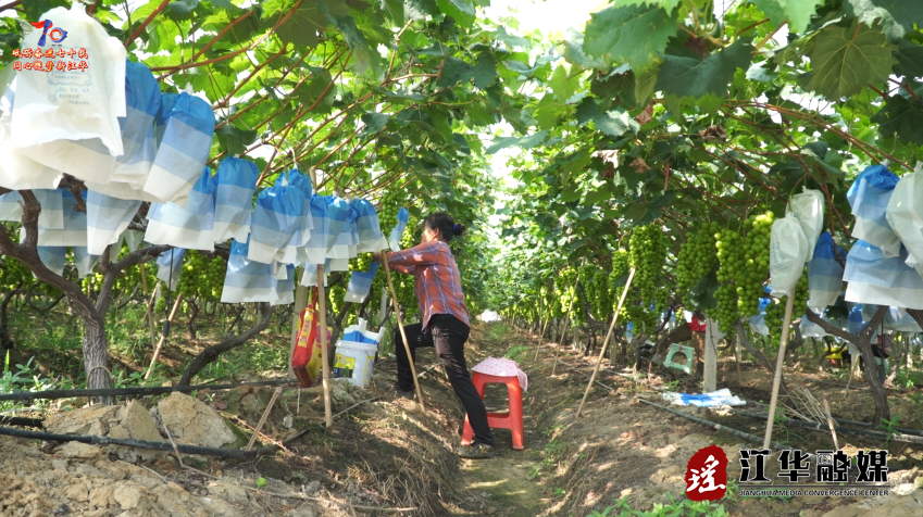 wechat_2025-07-10_091712_136.png