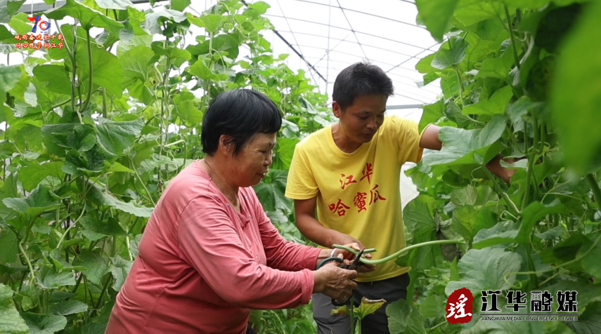 wechat_2025-07-14_092239_590.png