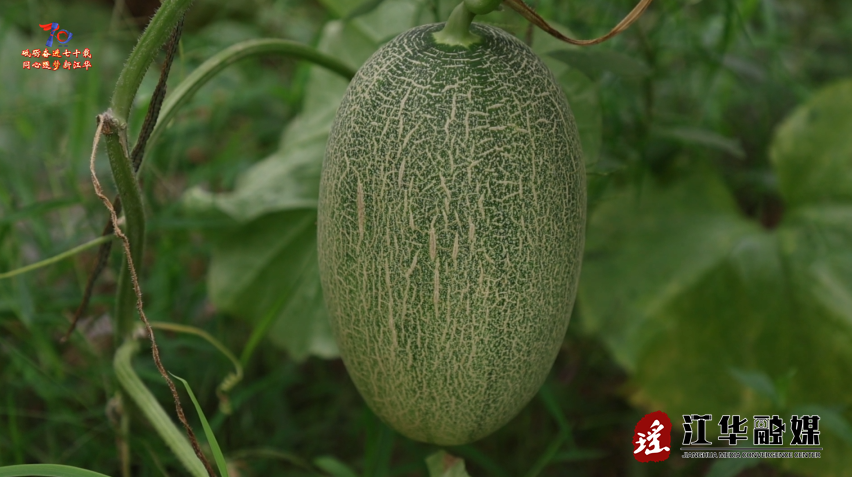 wechat_2025-07-14_092332_077.png