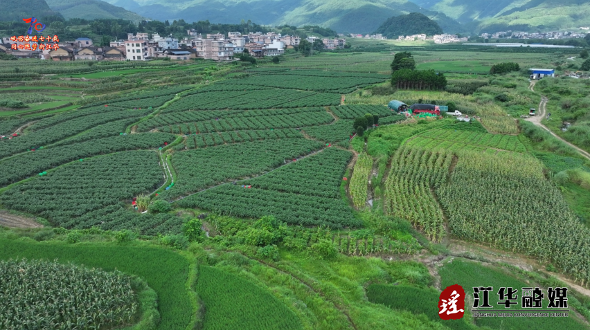 wechat_2025-07-17_090312_820.png