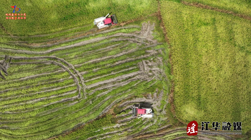 wechat_2025-07-17_114822_184.png