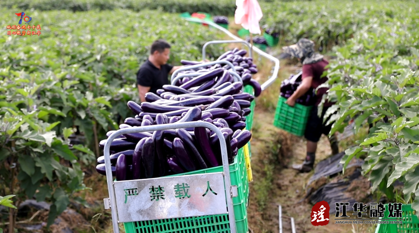 wechat_2025-07-17_090719_961.png
