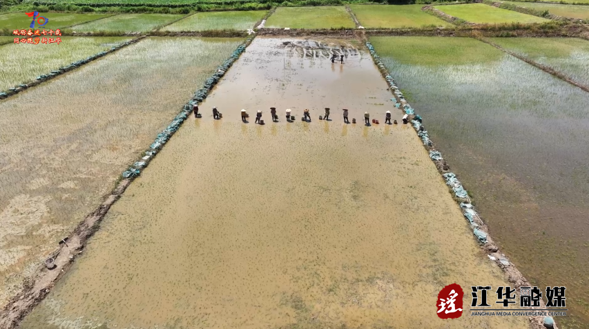 wechat_2025-07-18_094924_883.png