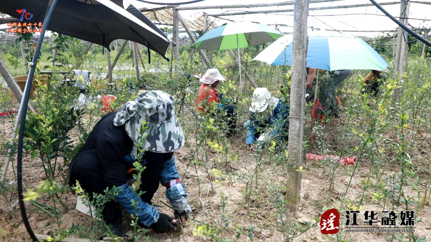 wechat_2025-07-02_162907_294.png