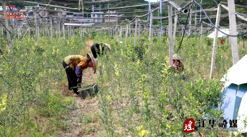 wechat_2025-07-02_162950_532.png