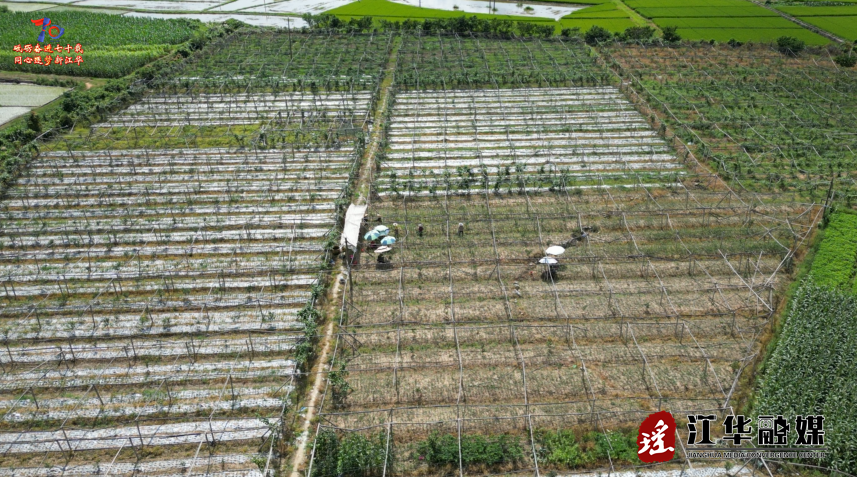 wechat_2025-07-02_162933_029.png