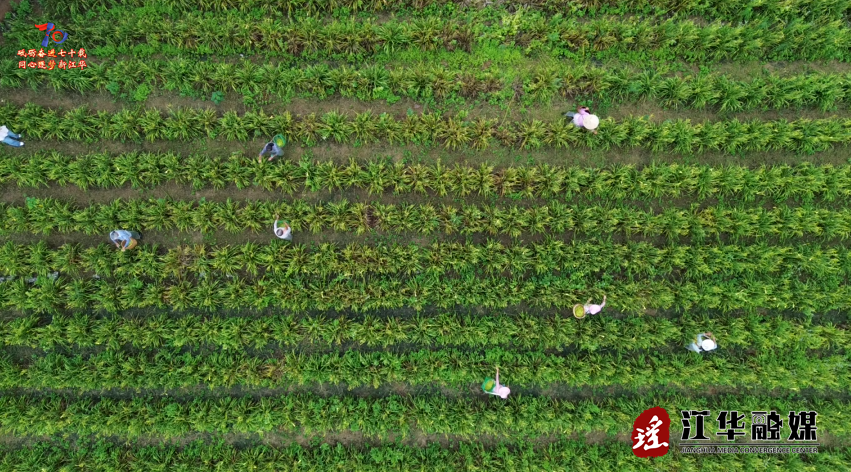 wechat_2025-07-25_090911_641.png