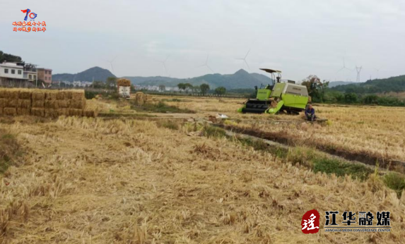 wechat_2025-07-03_162134_552.png