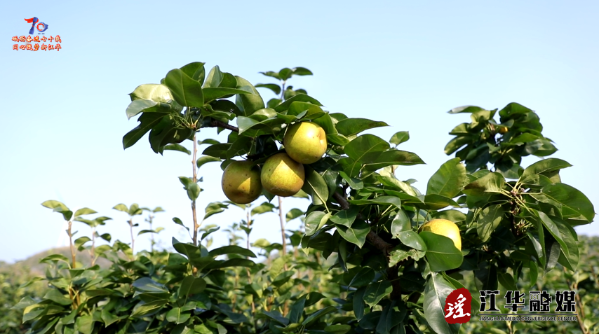 wechat_2025-07-08_085447_406.png