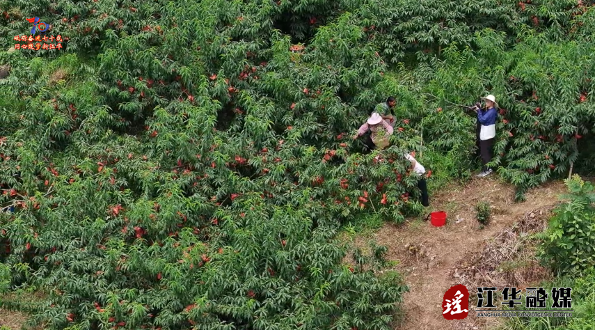 wechat_2025-08-01_154651_564.png