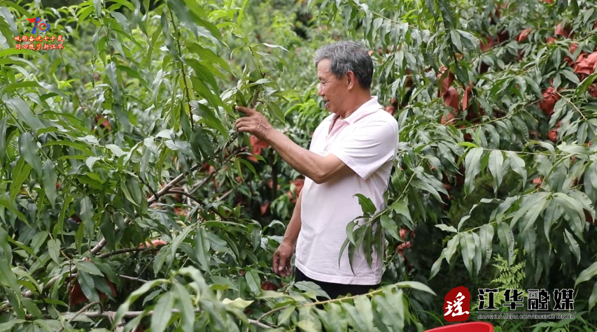 wechat_2025-08-01_154759_965.png