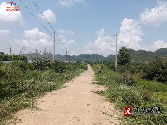 江华涛圩镇：道路砍青除隐患 护航安全保畅通