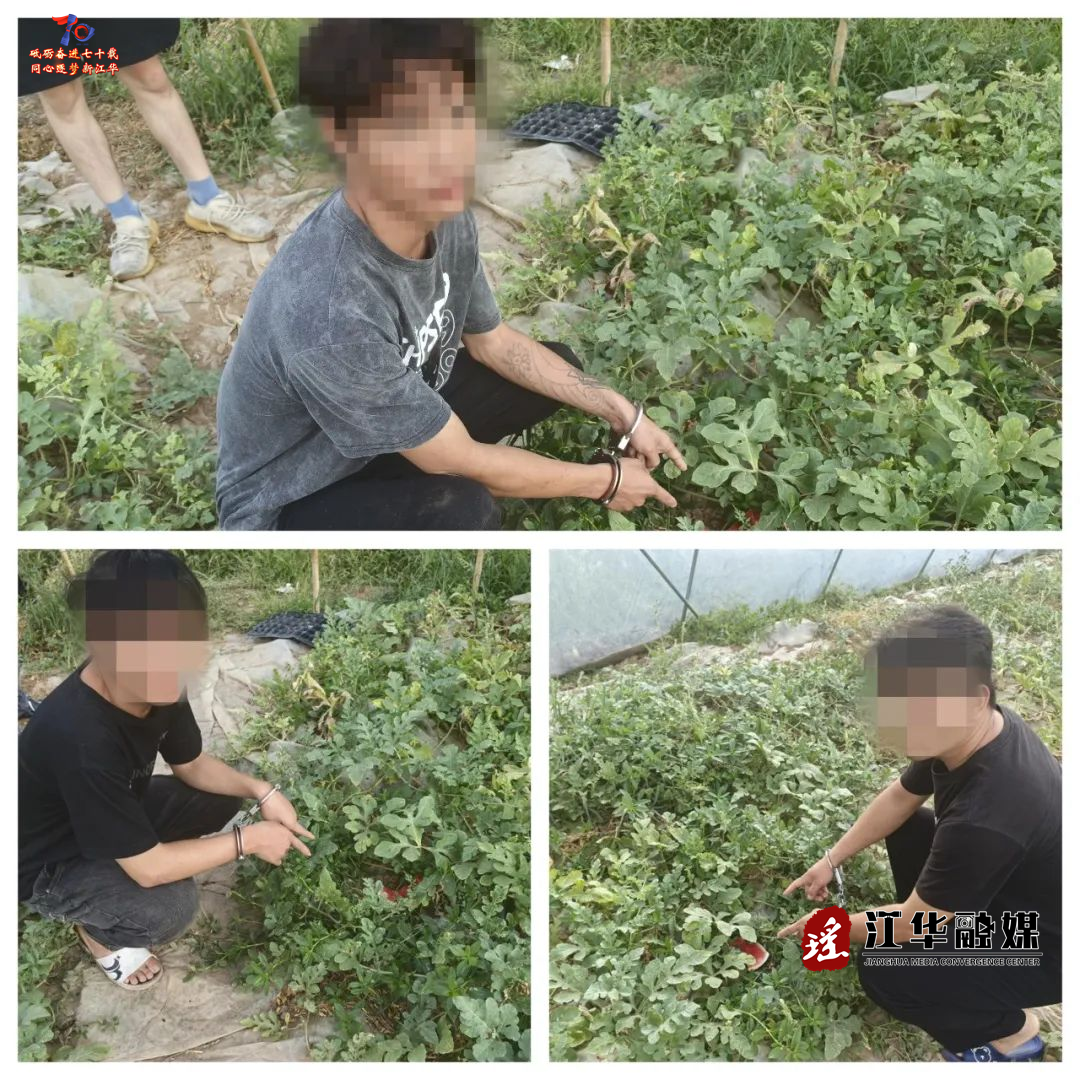 微信图片_2025-08-06_095817_332.png