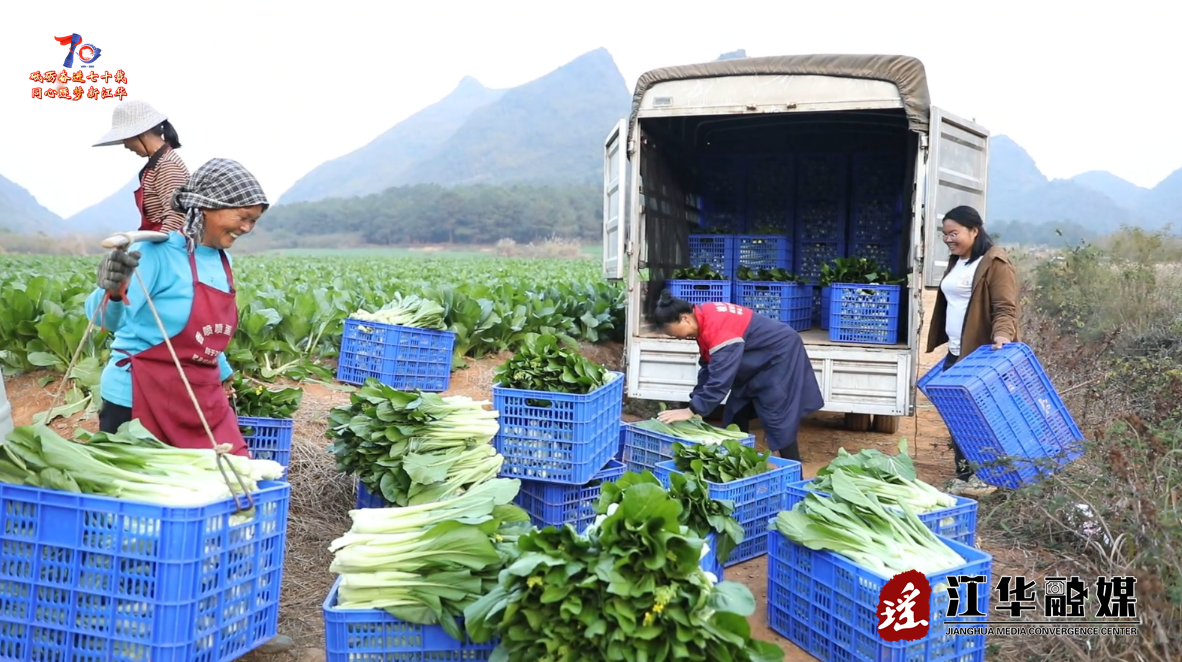 wechat_2025-08-06_175138_810.png