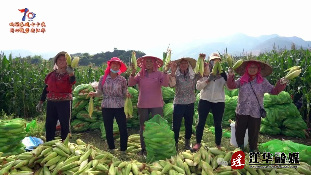 微信图片_2025-08-06_175145_859.png