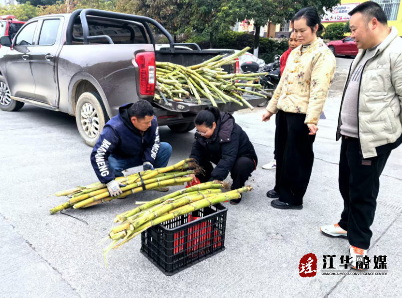 江华小圩壮族乡助农销售  治理效能与群众获得感双重提升