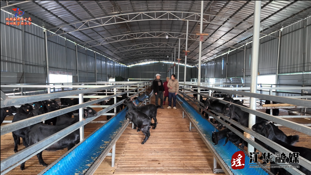 ScreenShot_2026-01-06_153832_557.png ScreenShot_2026-01-06_153832_557.png