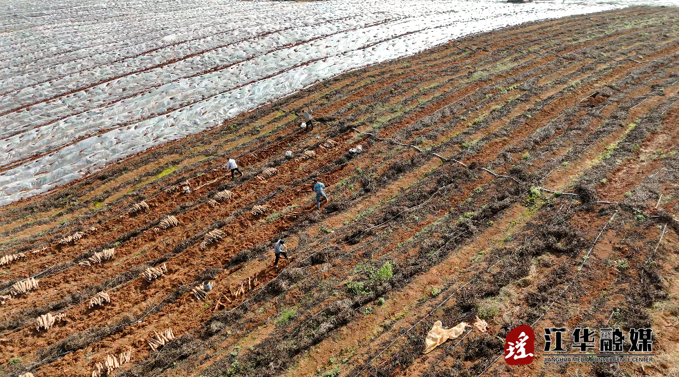 ScreenShot_2026-01-08_100618_852.png ScreenShot_2026-01-08_100618_852.png