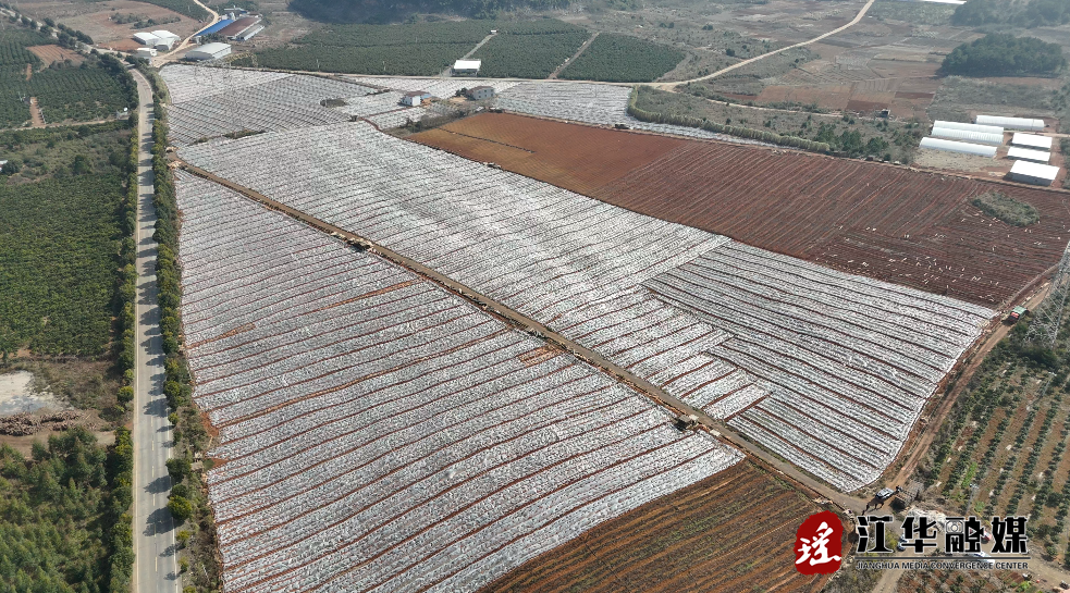 ScreenShot_2026-01-08_100551_747.png ScreenShot_2026-01-08_100551_747.png