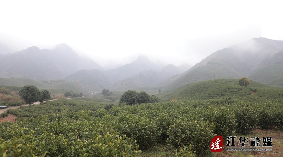 ScreenShot_2026-02-10_095351_982.png ScreenShot_2026-02-10_095351_982.png