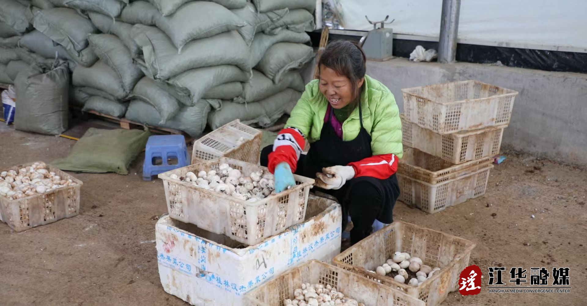 9413b29d059550a611ca1e292ac229e3.jpg 9413b29d059550a611ca1e292ac229e3.jpg