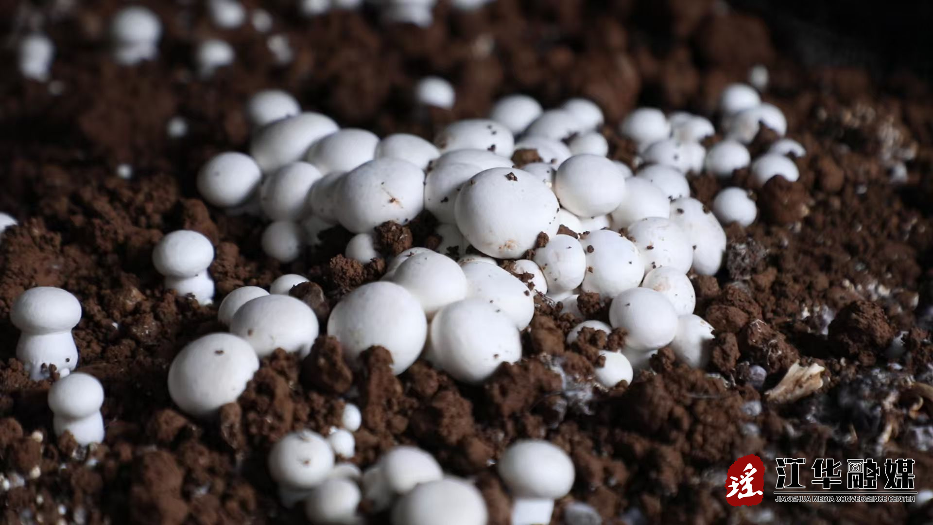 f0330228fcb80d950166d13afea54f37.jpg f0330228fcb80d950166d13afea54f37.jpg