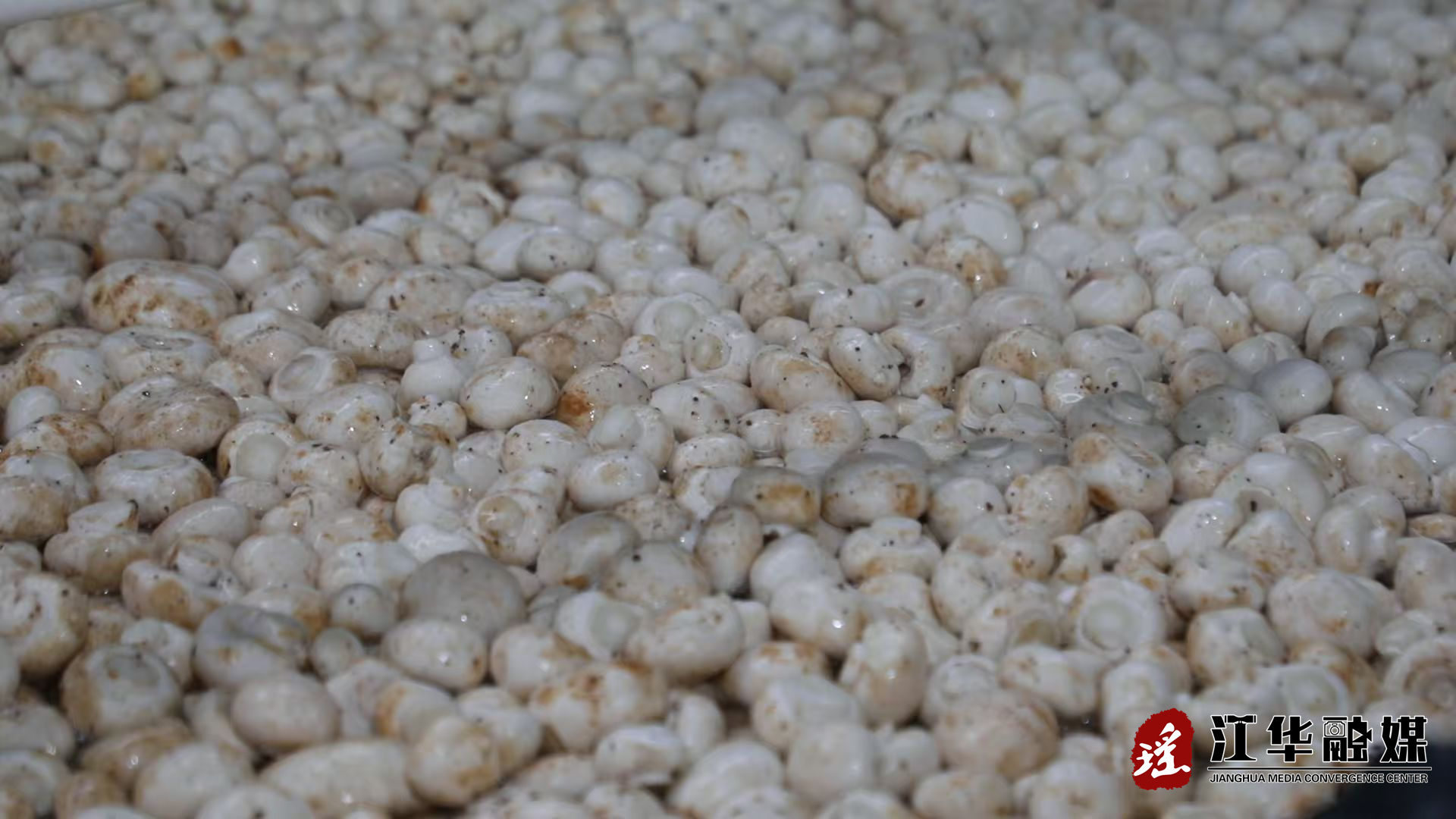 8bc1e687719fd45d3baee40c123a057f.jpg 8bc1e687719fd45d3baee40c123a057f.jpg