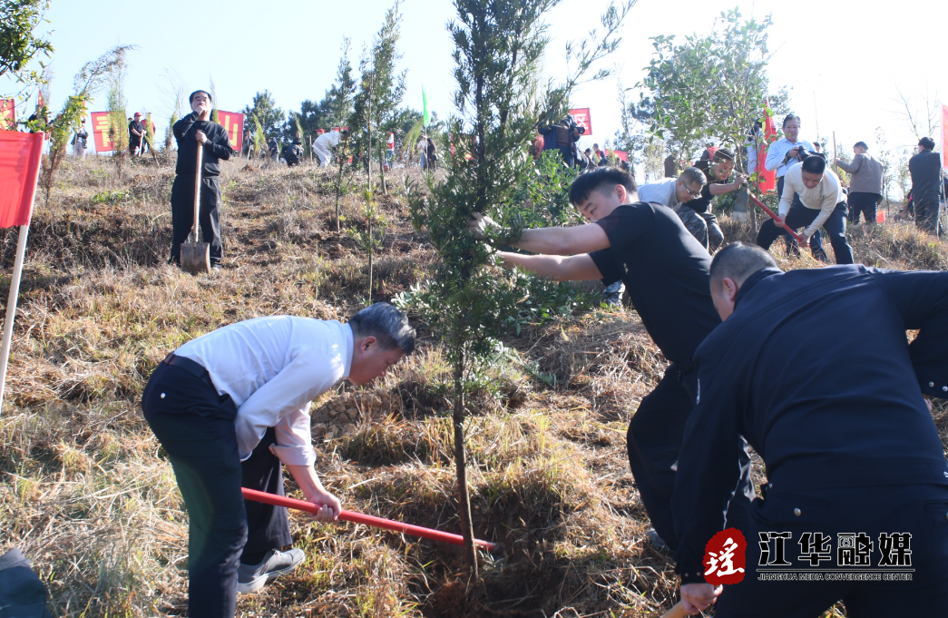 ScreenShot_2026-03-13_154457_264.png ScreenShot_2026-03-13_154457_264.png